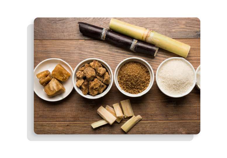 procainsa-servicio_03