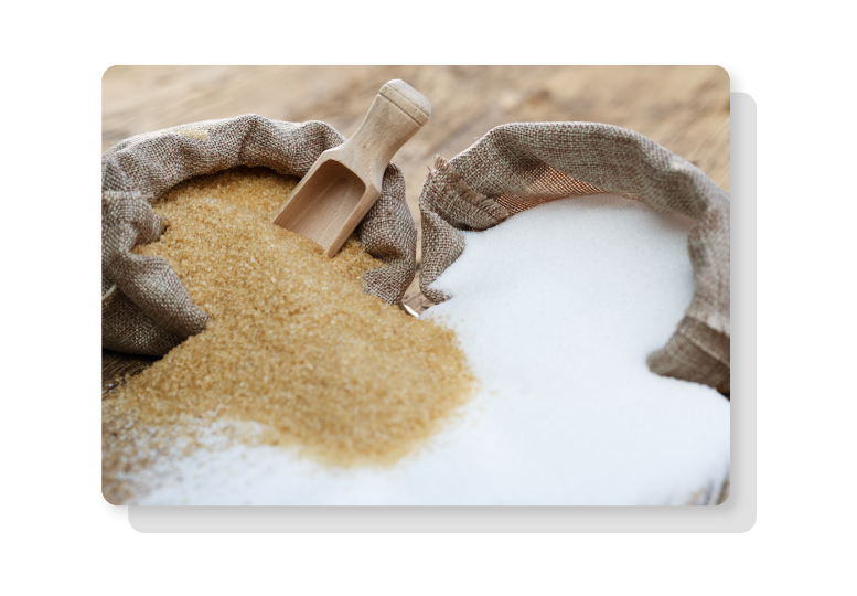 procainsa-servicio_03